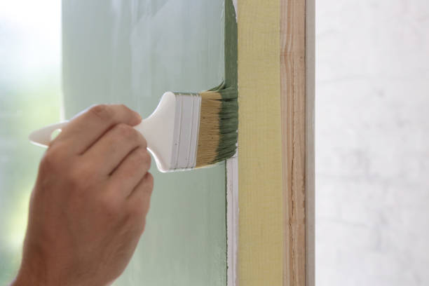 Trusted Truckee, CA Mold Removal Experts